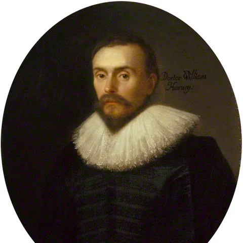 Portrait of Harvey